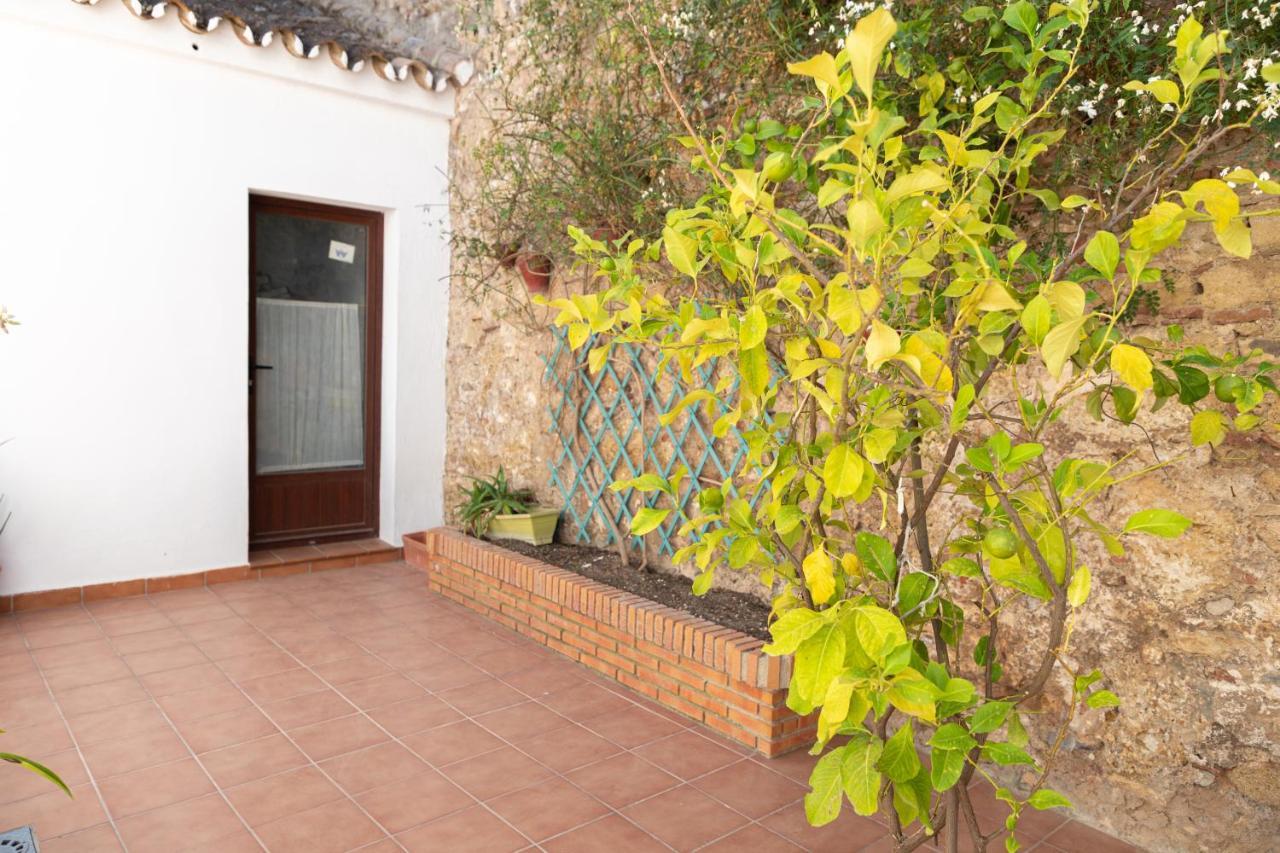 דירות Casa Con Patio Andaluz Cerca Del Tajo De רונדה מראה חיצוני תמונה